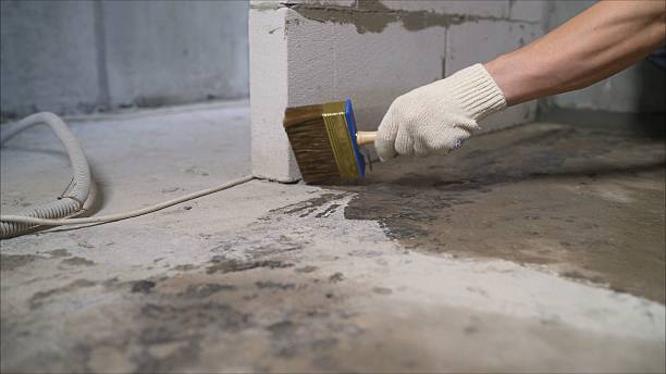 24/7 Emergency Wet Basement Repair experts in Sawyer, MI